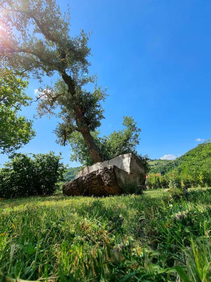 Casa Vacanze Gli Allori Venarotta Zewnętrze zdjęcie